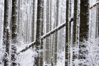 /album/personal/dsc-0032-jpg/